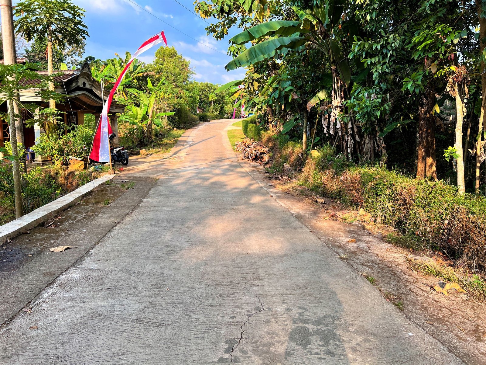TANAH KEBUN JATI COCOK UNTUK BUKA USAHA/ RUMAH TINGGAL KERJO KARANGANYAR - 5