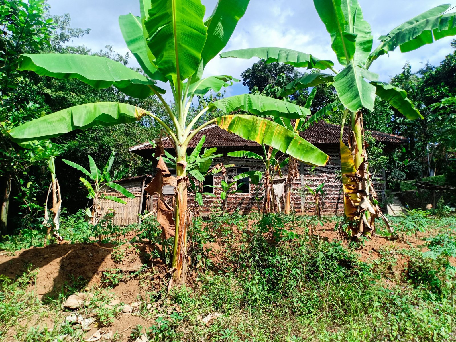 DIJUAL RUMAH SIAP HUNI 805m² KERJO KARANGANYAR - 4