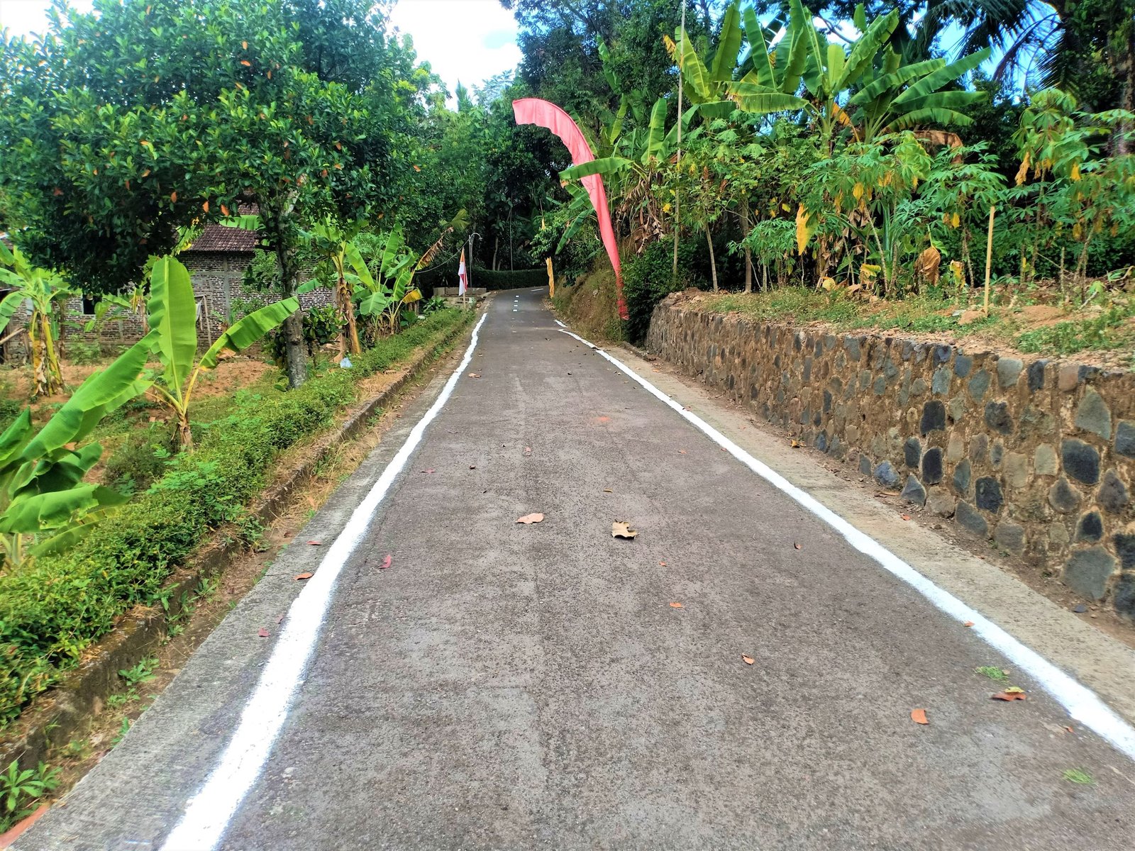 DIJUAL RUMAH SIAP HUNI 805m² KERJO KARANGANYAR - 5