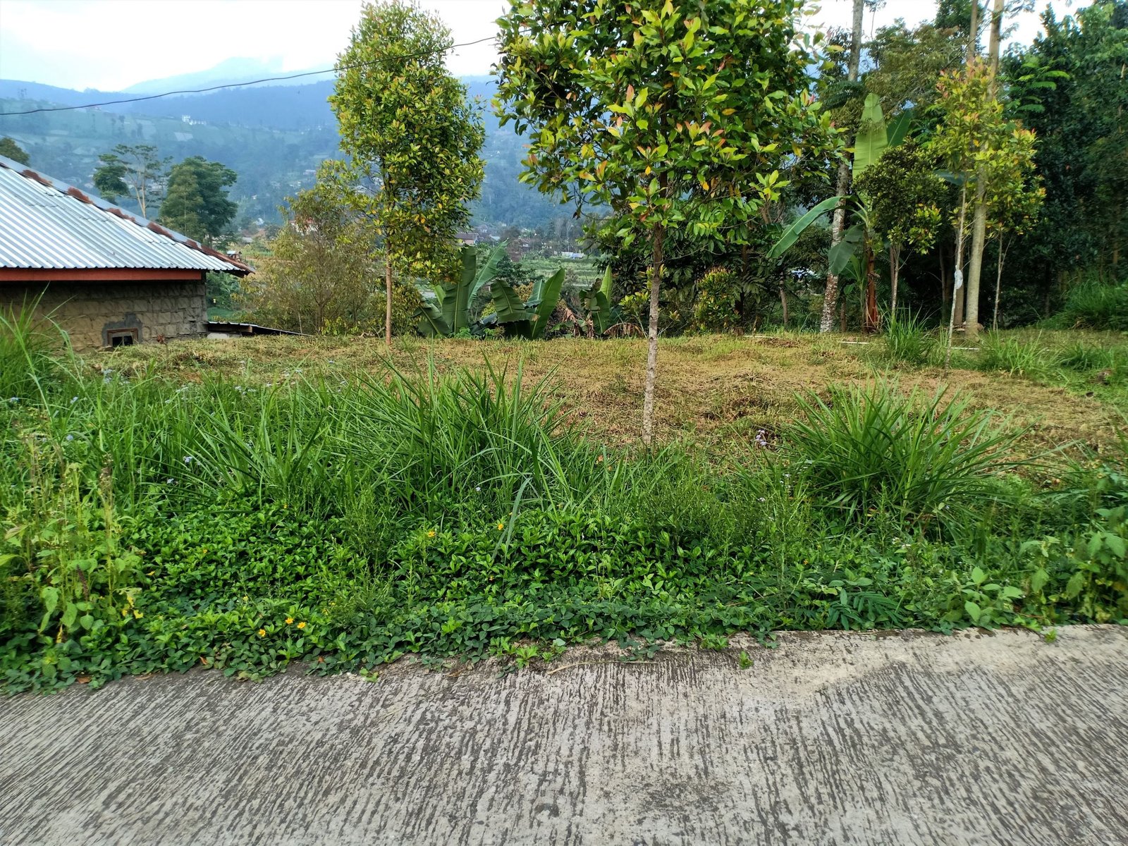 DIJUAL TANAH VIEW ISTIMEWA KEMUNING NGARGOYOSO KRA - 3