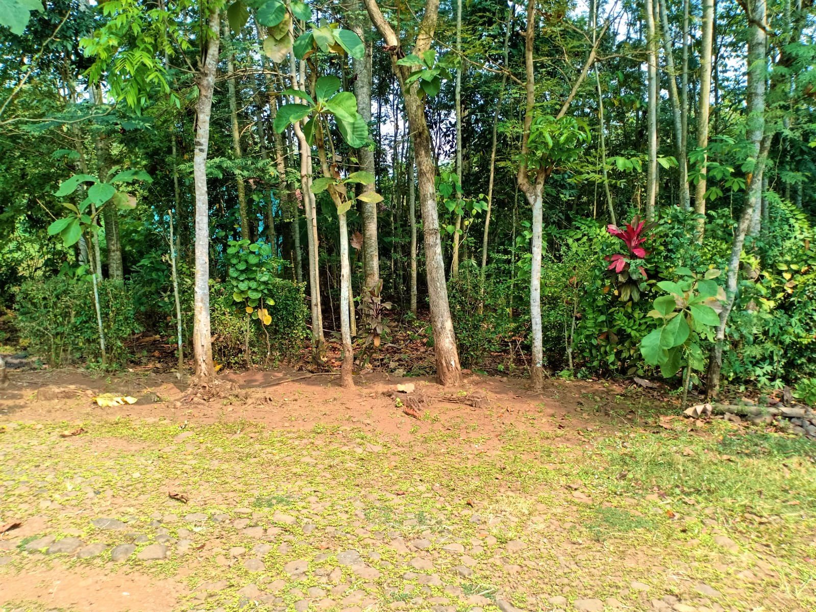 DIJUAL TANAH 150 RIBU PERMETER KECAMATAN KARANGANYAR JATENG - 2