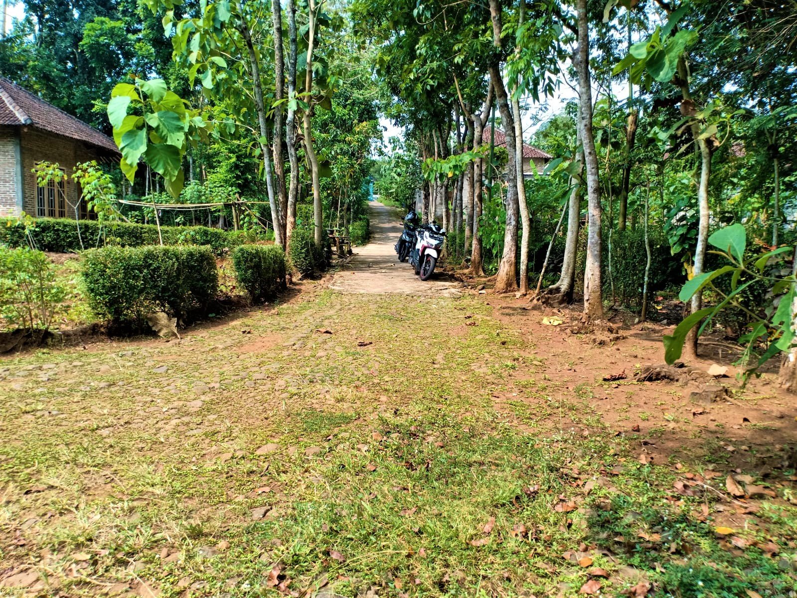 DIJUAL TANAH 150 RIBU PERMETER KECAMATAN KARANGANYAR JATENG - 4