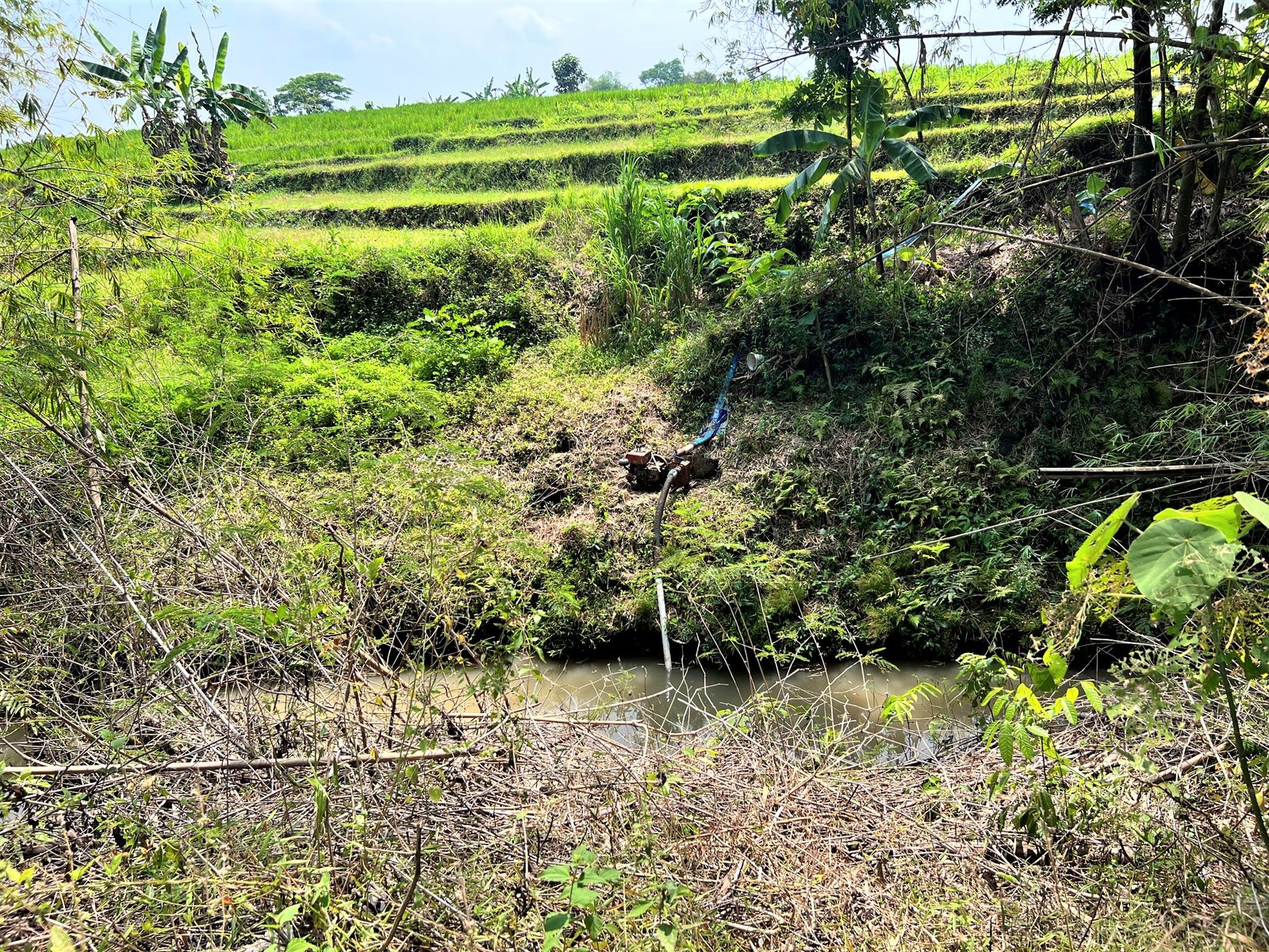 Tanah Pekarangan Karangmalang Sragen - 5