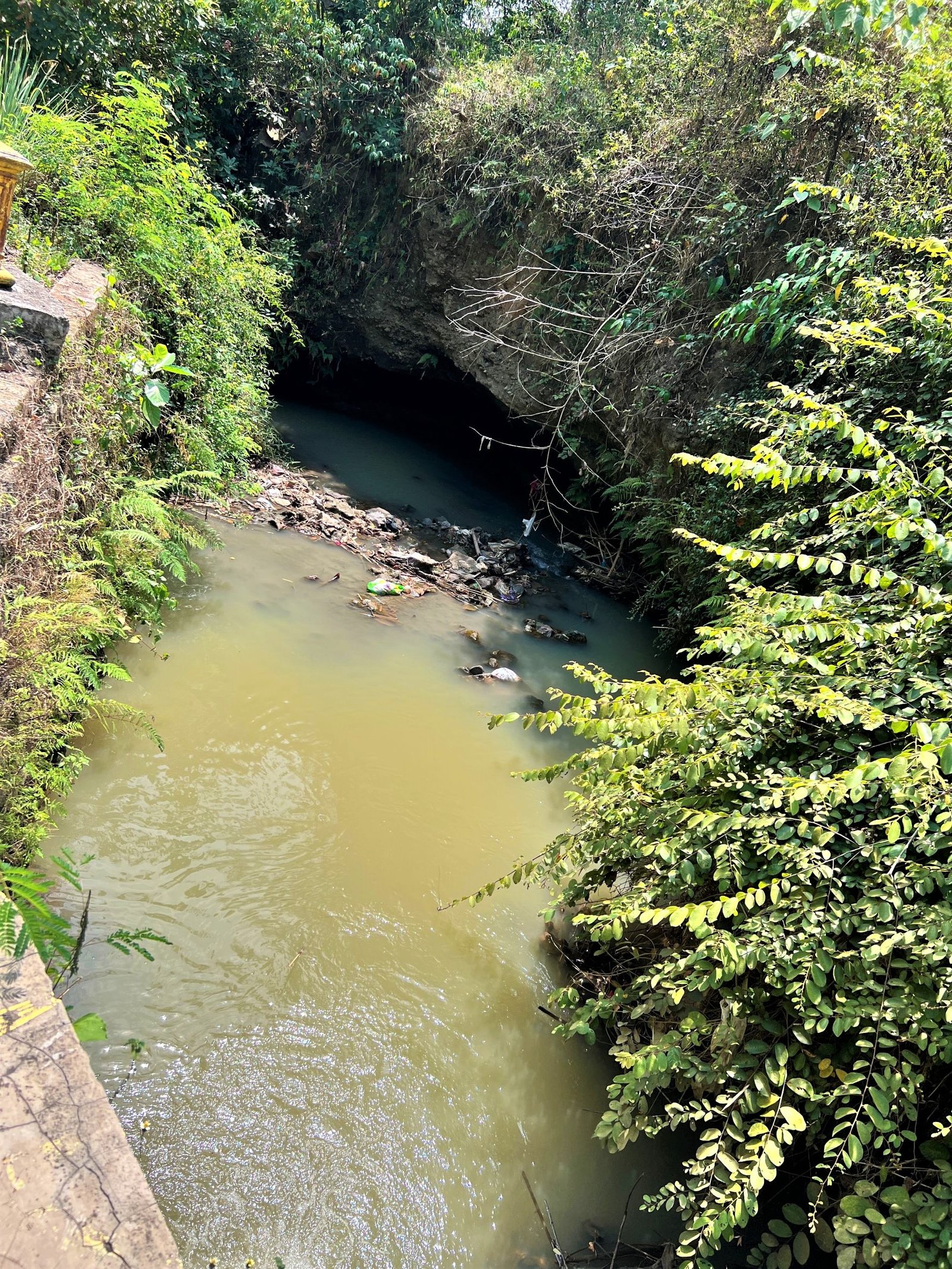 Tanah Pekarangan Karangmalang Sragen - 3