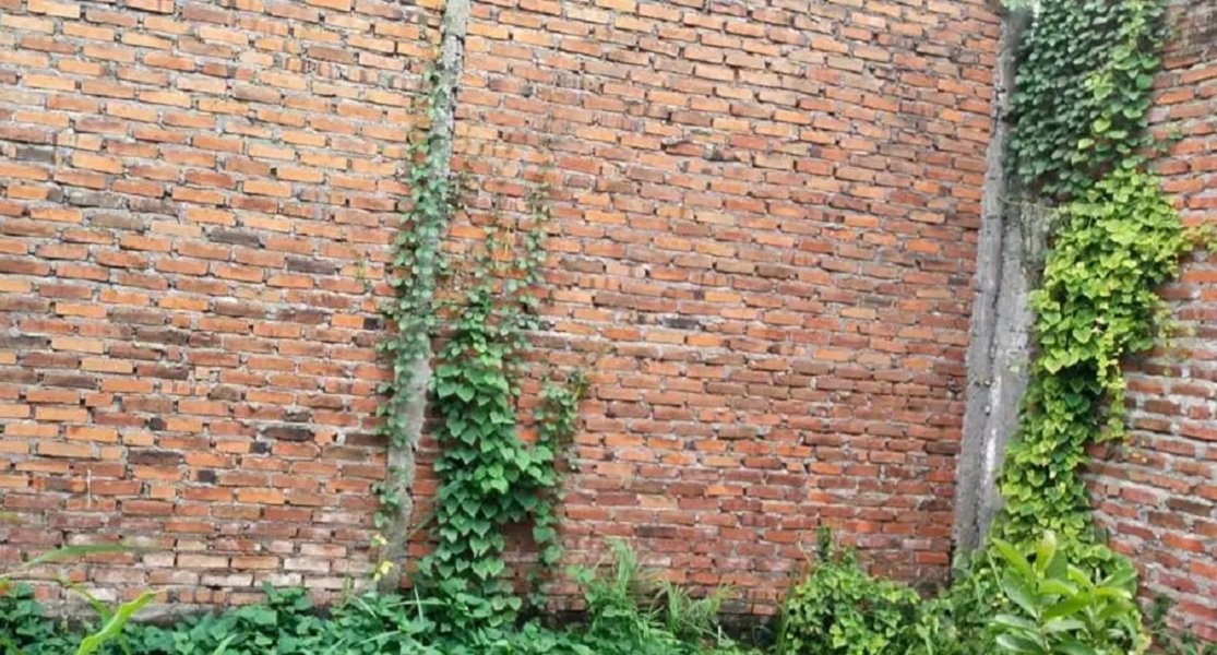 Rumah Dijual di Sidoarjo Dekat Kampus UMSIDA, Lippo Plaza Sidoarjo, Stasiun Tulangan, RS Aisyiyah Siti Fatimah - 3