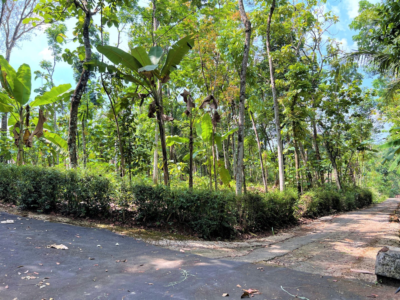 Tanah 950m² Super Datar Karanganyar - 4