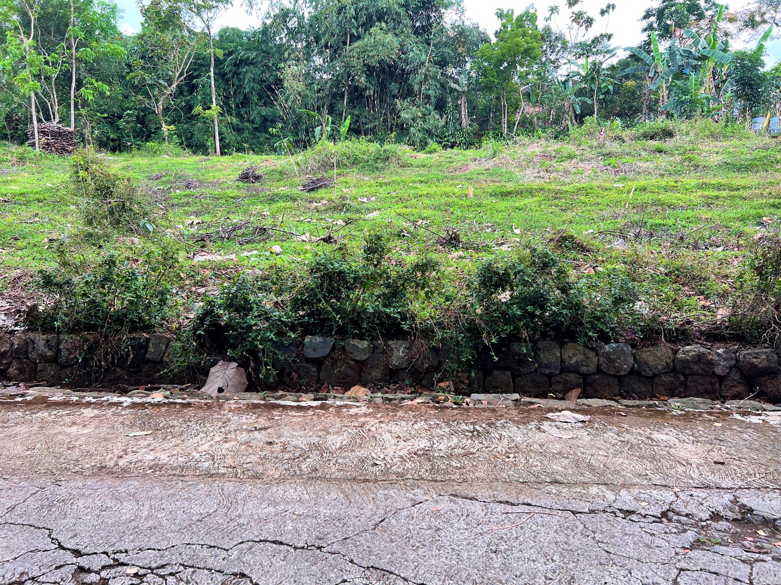 Tanah Super Datar Kerjo Karanganyar - 3