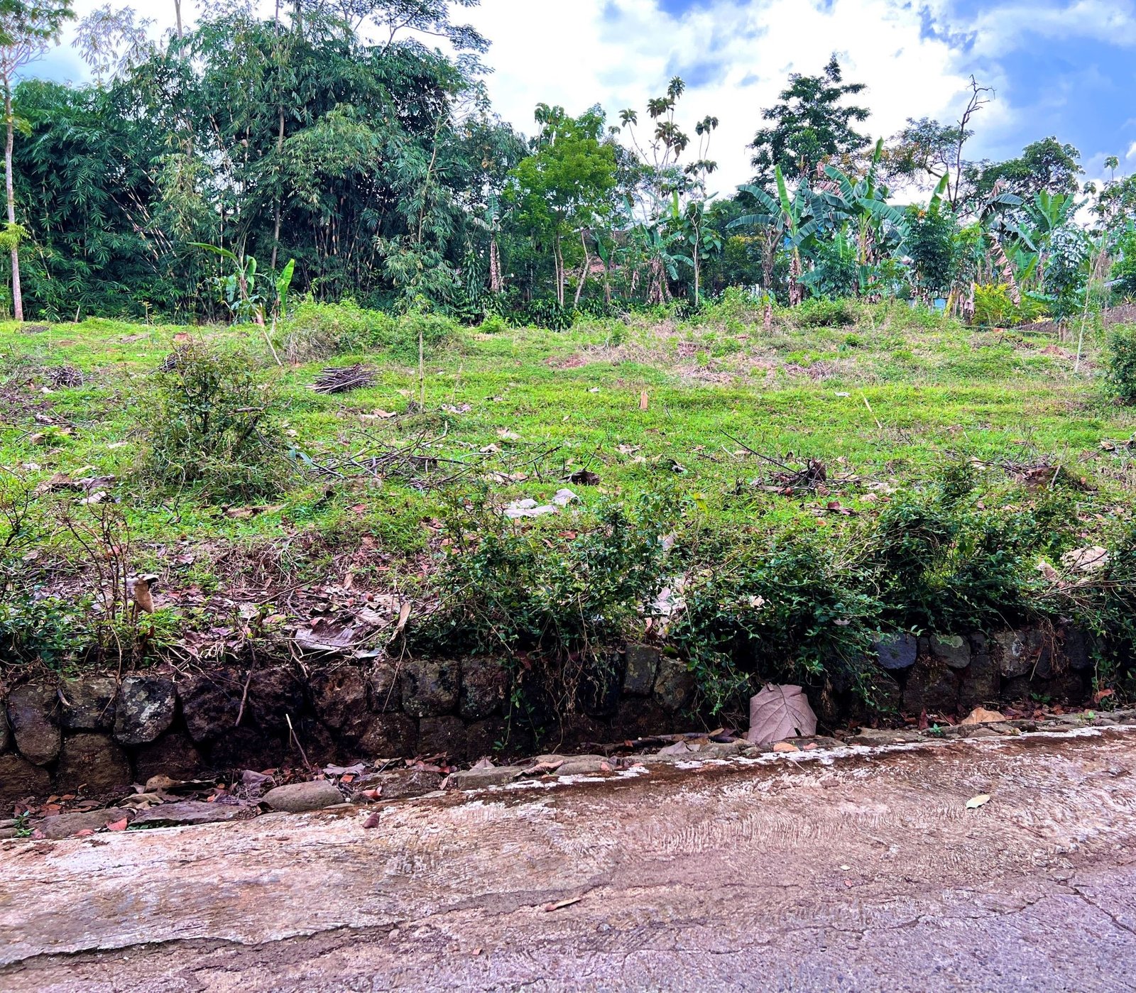 Tanah Super Datar Kerjo Karanganyar - 2
