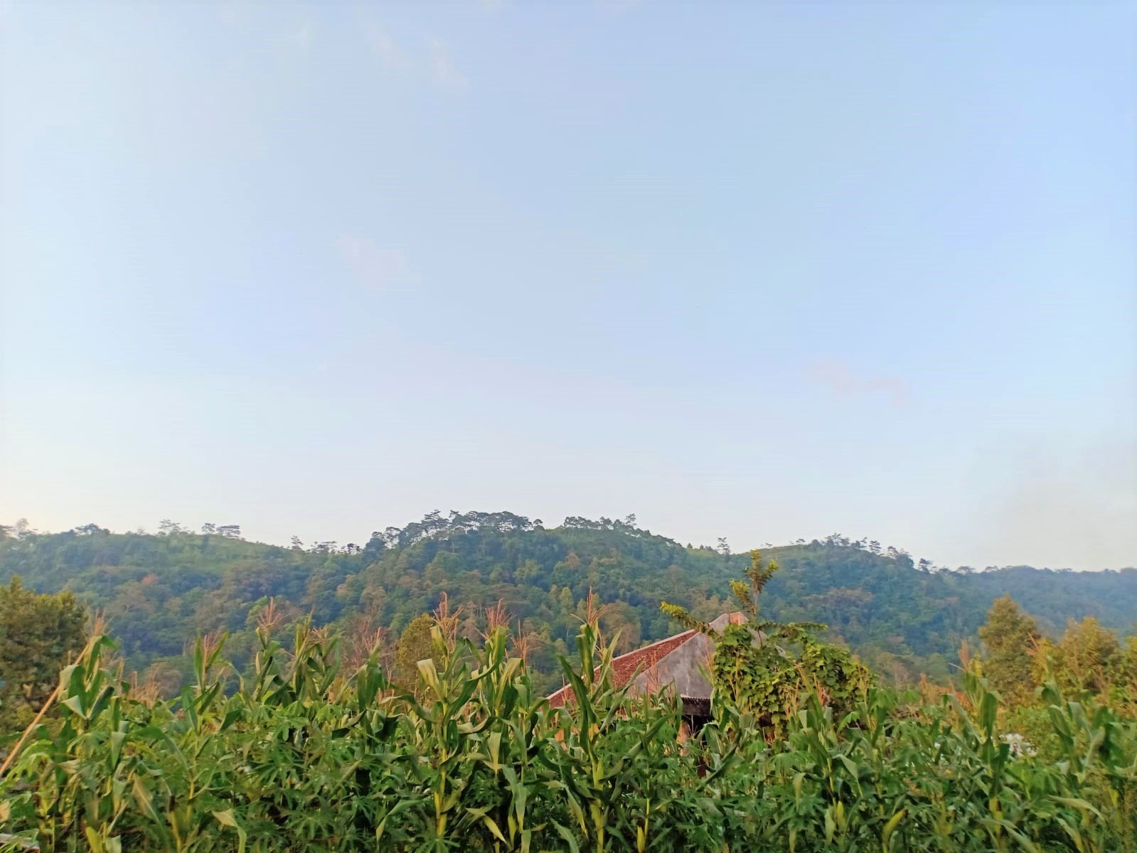 Tanah Kawasan Wisata Kemuning Ngargoyoso - 4