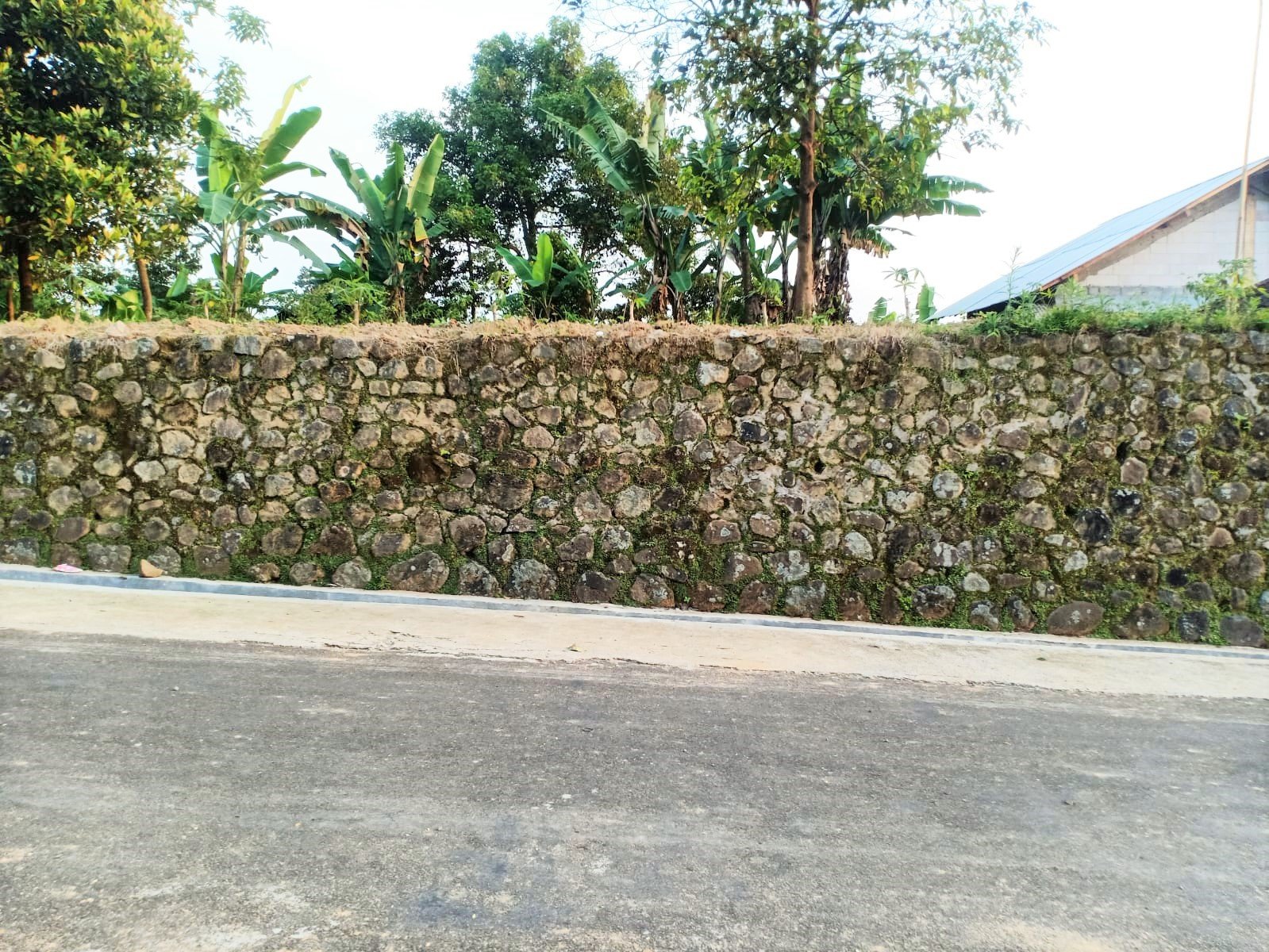 Tanah Kawasan Wisata Kemuning Ngargoyoso - 2