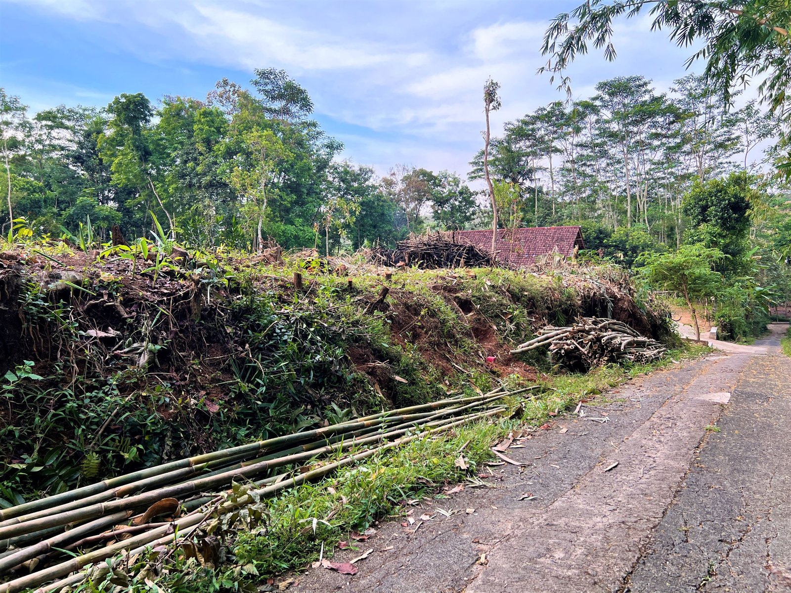 Tanah 1900m² Hanya 375 Juta nego Karanganyar - 4