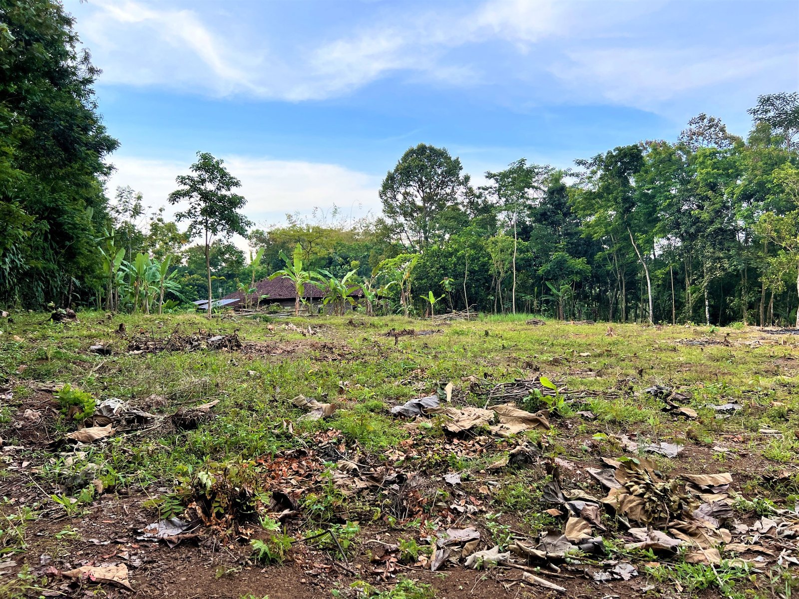 Tanah 1900m² Hanya 375 Juta nego Karanganyar - 2