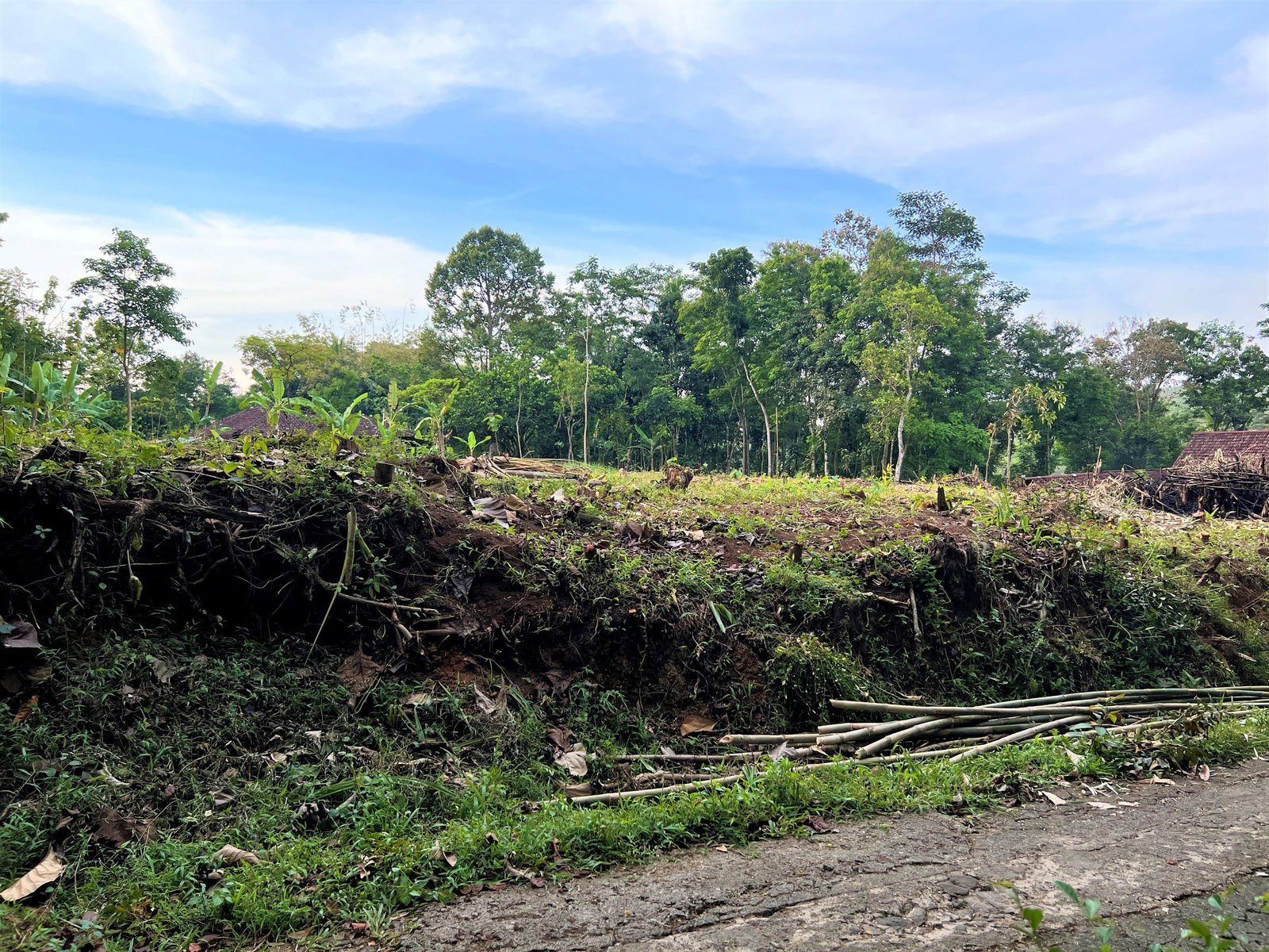 Tanah 1900m² Hanya 375 Juta nego Karanganyar - 3