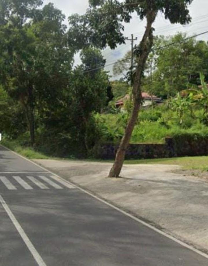 Tanah Tepi Jl Raya Karangpandan - Tawangmangu Karanganyar - 2
