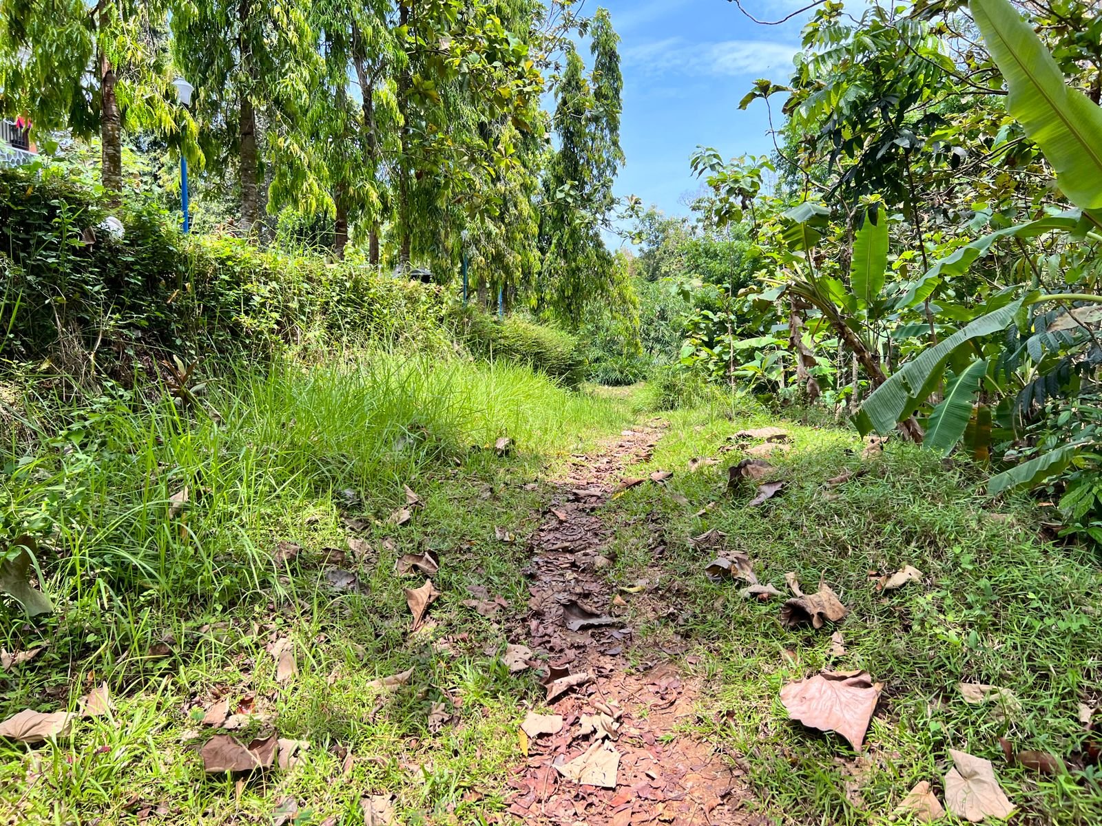 Tanah 1018m² Hanya 150 Juta Karanganyar - 3