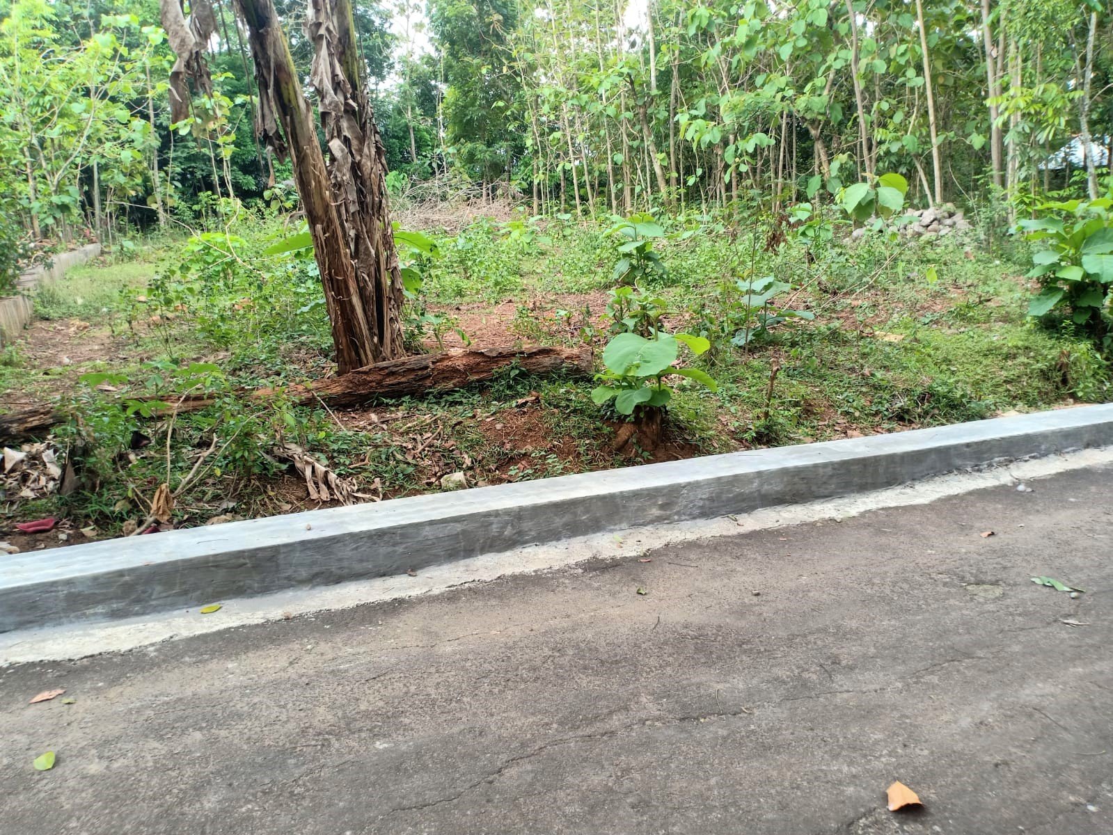 Tanah Datar Cocok Dibangun Rumah Tinggal Sragen - 2
