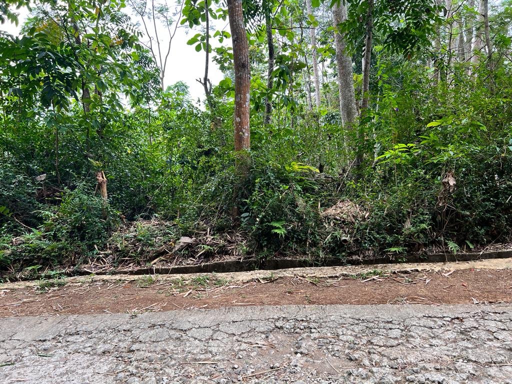 Tanah Datar 1847m² Mojogedang Karanganyar - 2