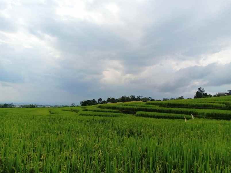 Tanah Cocok dibangun Villa Karanganyar - 3