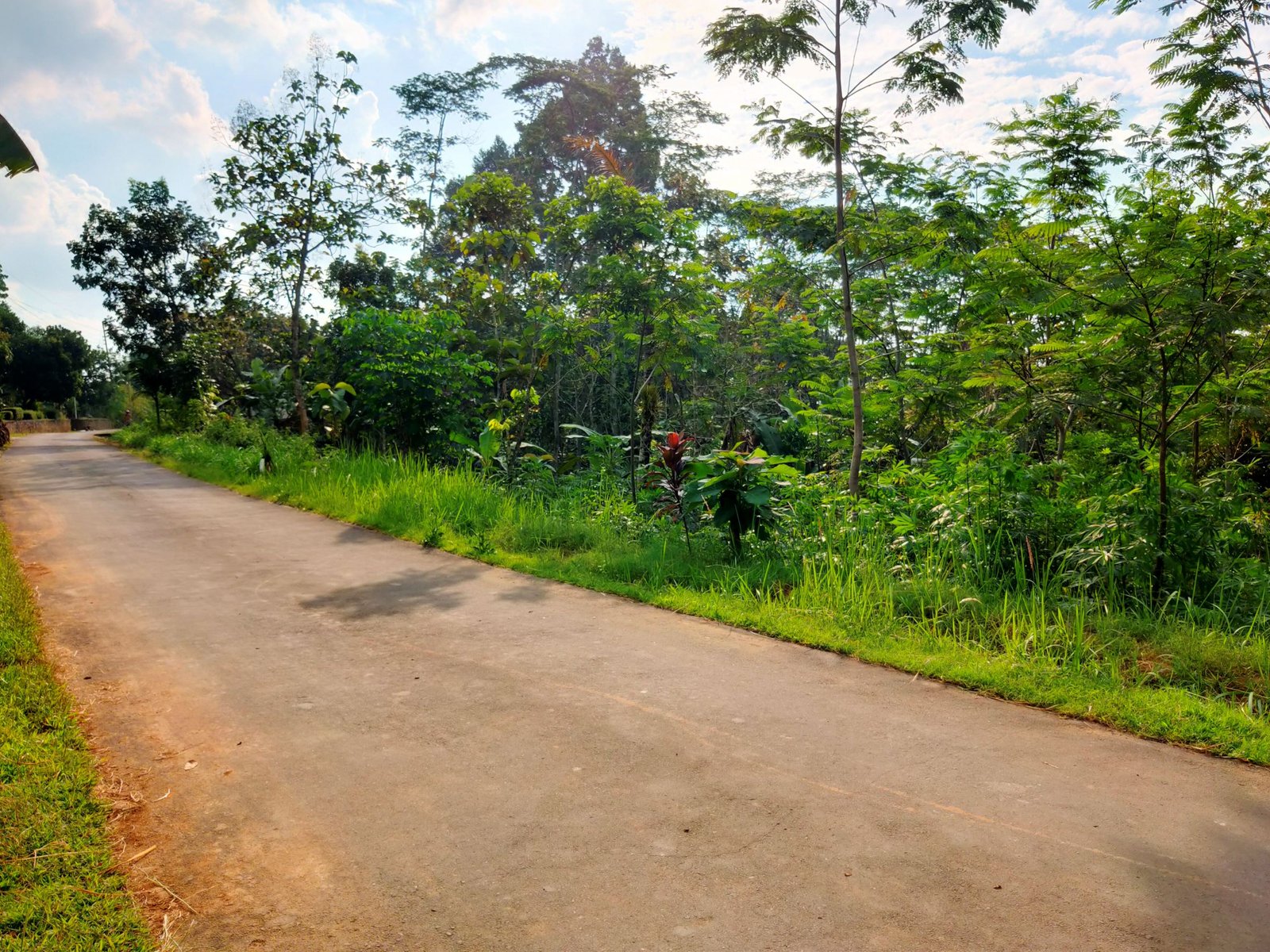 Tanah 1 Hektar Tepi Jl DPU Karangpandan Karanganyar - 2