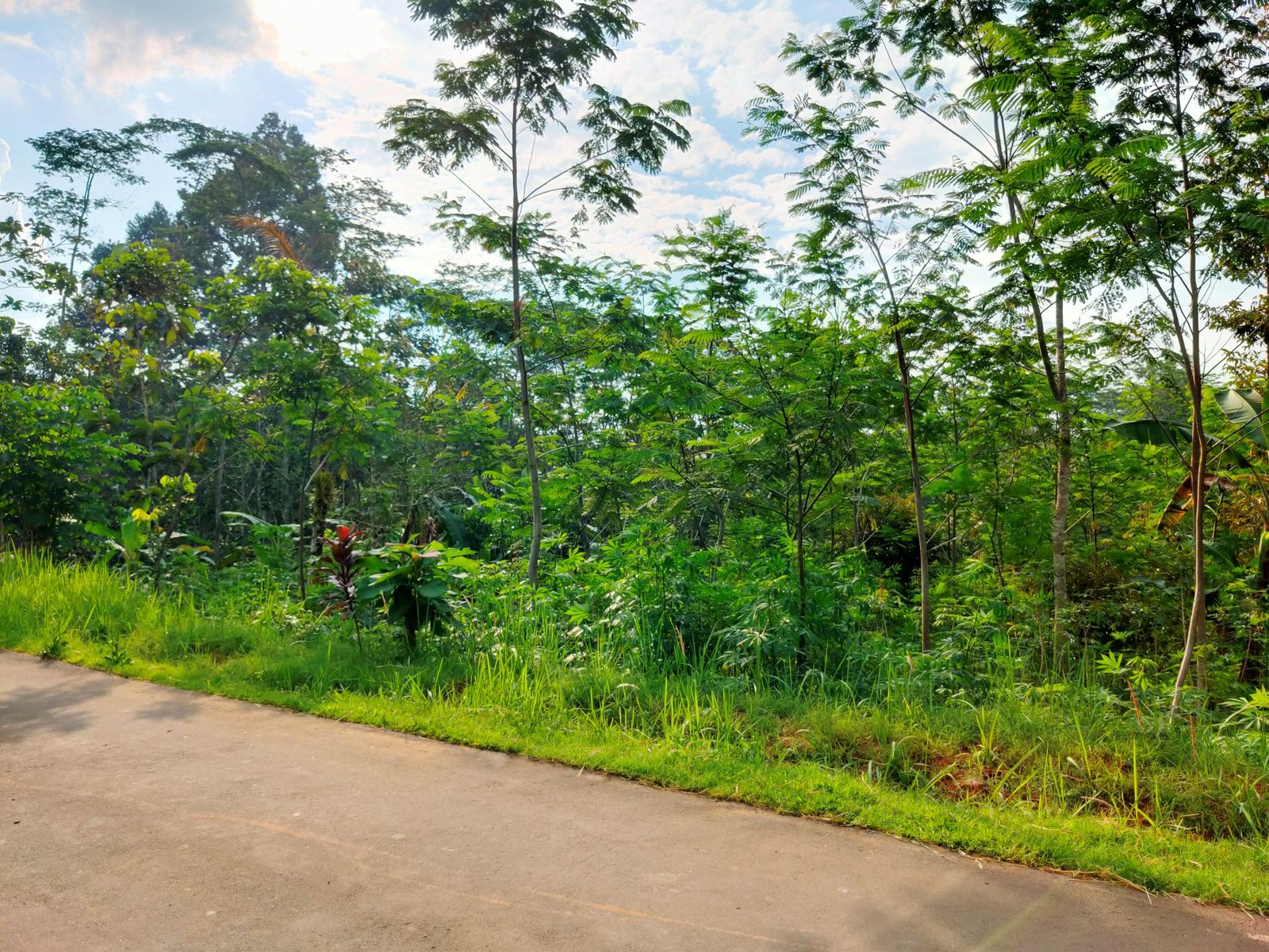 Tanah 1 Hektar Tepi Jl DPU Karangpandan Karanganyar - 5