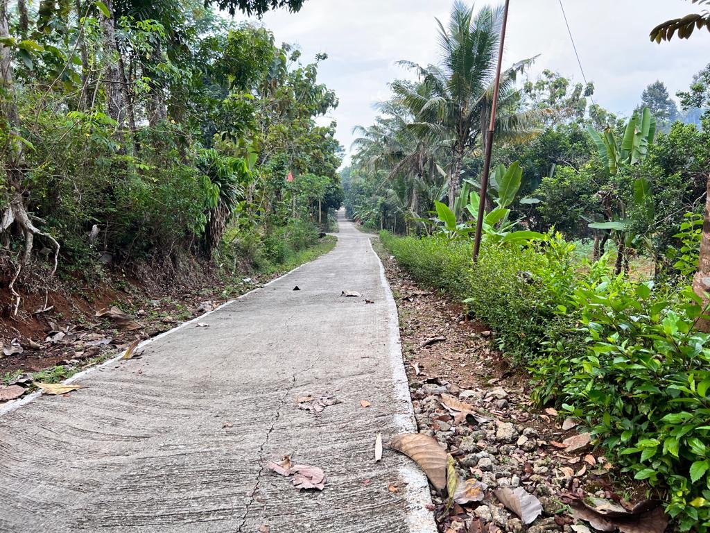 Tanah Kebun Durian 1000m² Mojogedang Karanganyar - 4