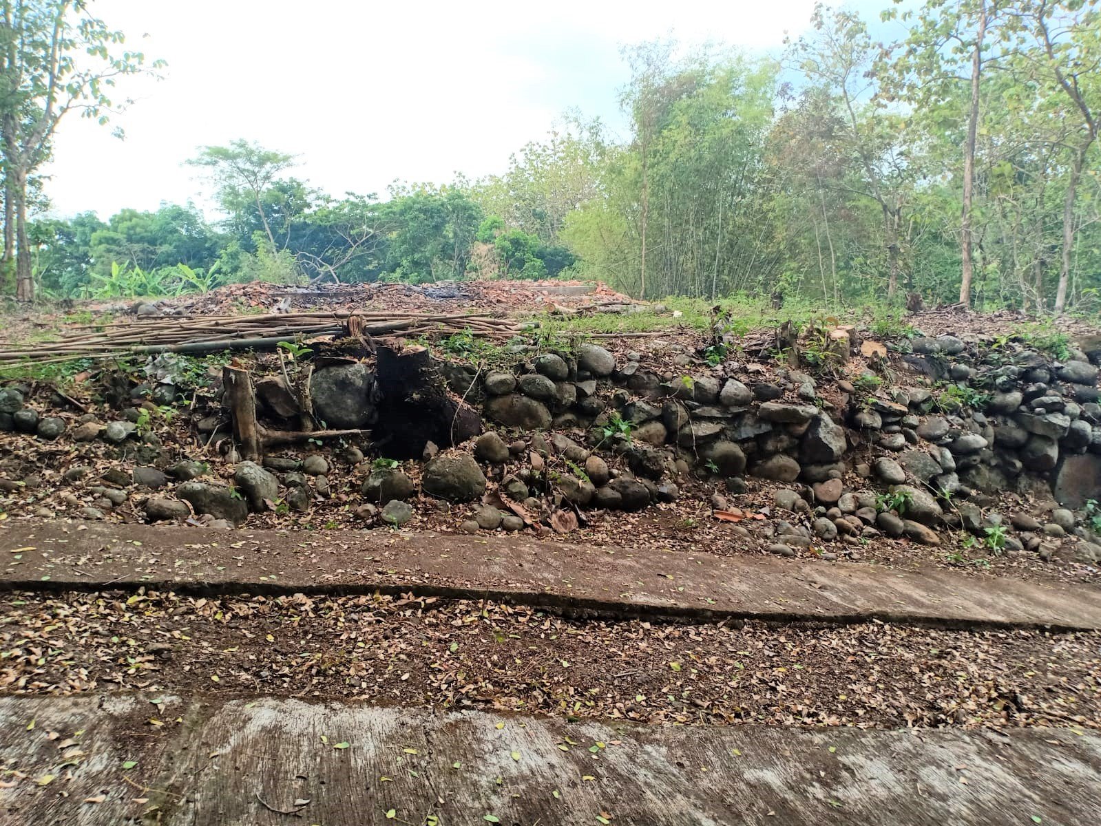 Tanah Murah Kedawung Sragen - 3