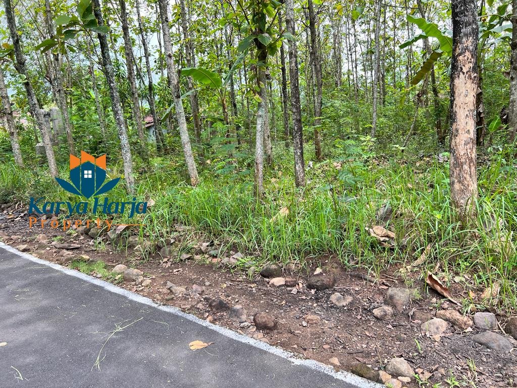 Tanah 1405m² Dekat Fasilitas Umum Karanganyar - 2