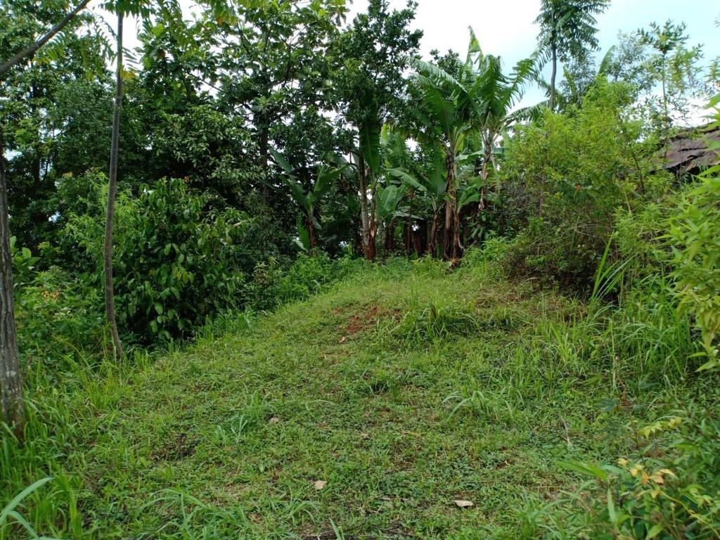 Tanah Idaman Area Kebun Teh Kemuning Karanganyar - 2