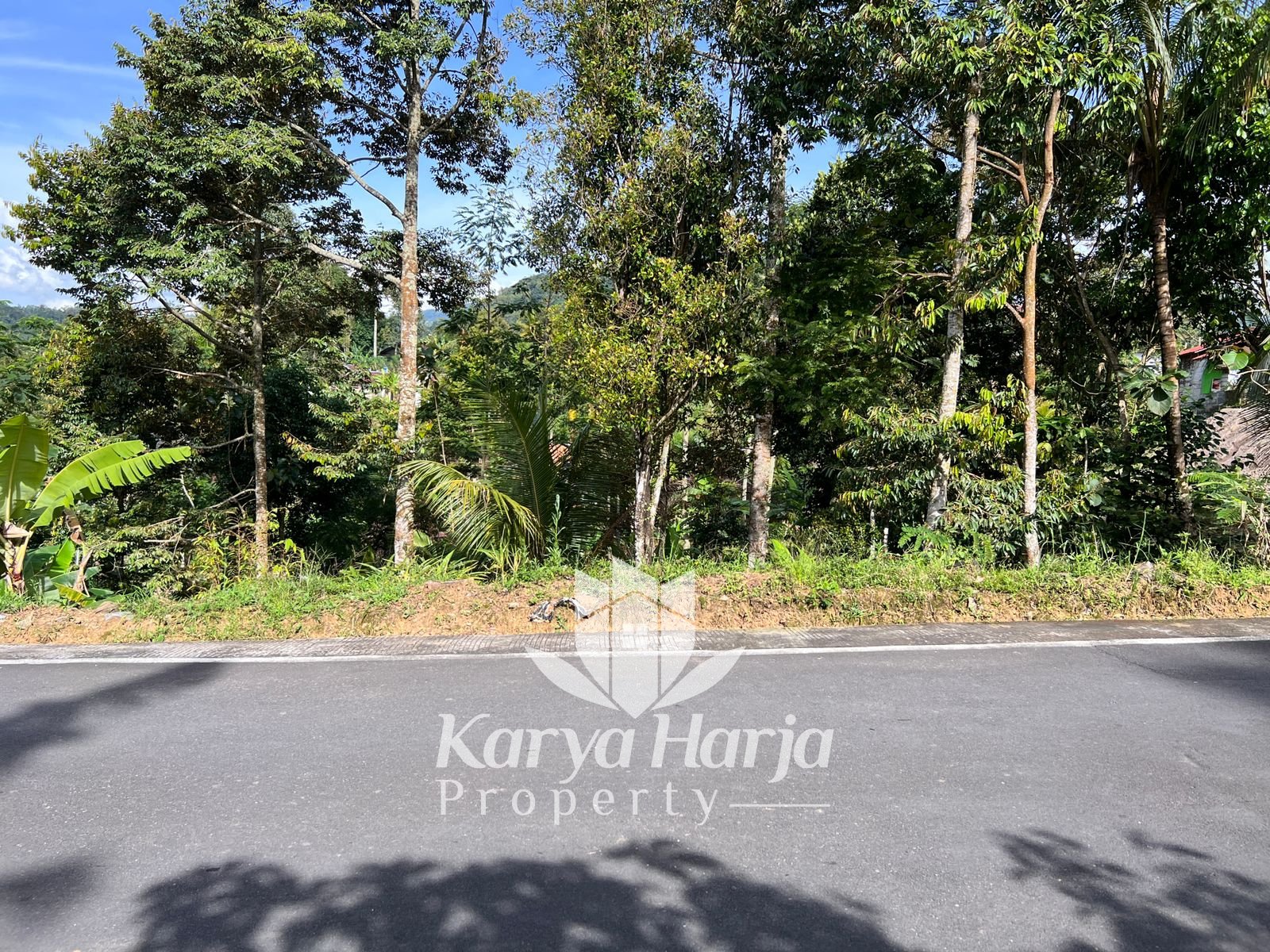 Tanah Kebun Durian Kemuning Karanganyar - 3