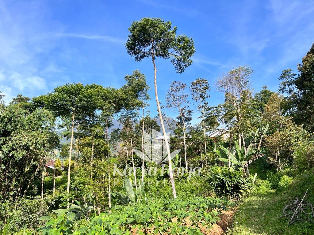 Tanah Cocok Dibangun Villa Kemuning Karanganyar - 2