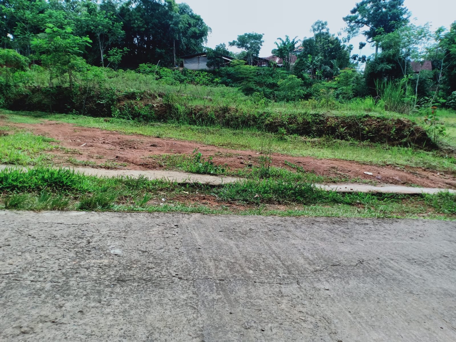 Tanah Dijual Cocok untuk Investasi Karangpandan - 6