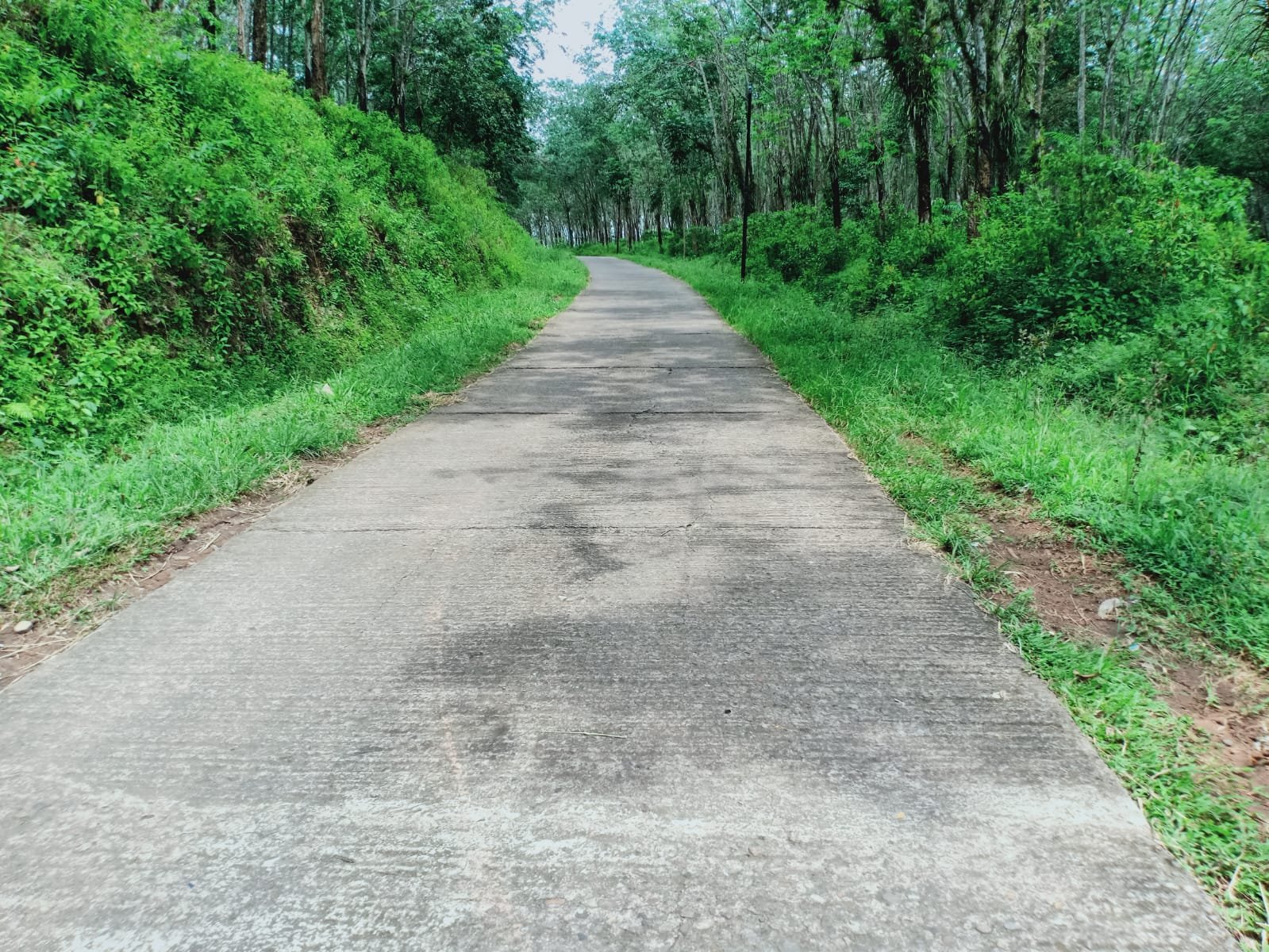 Tanah Dijual Cocok untuk Investasi Karangpandan - 12