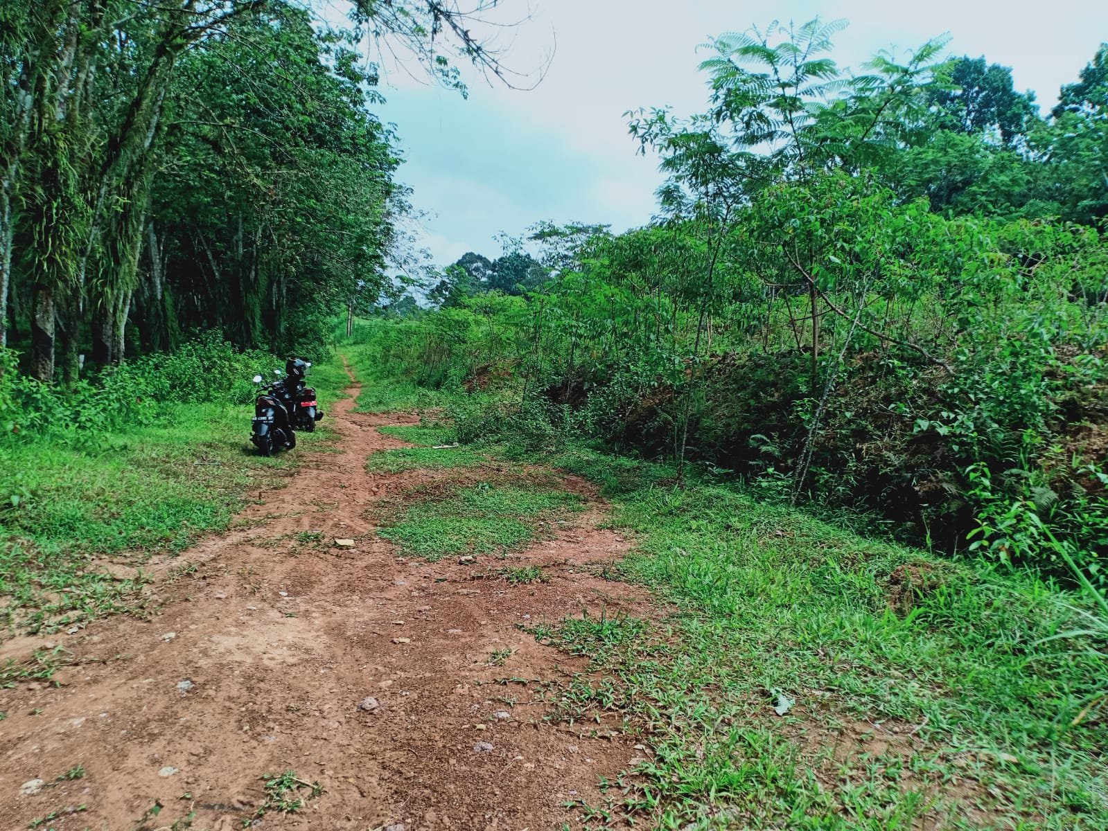 Tanah Dijual Cocok untuk Investasi Karangpandan - 10