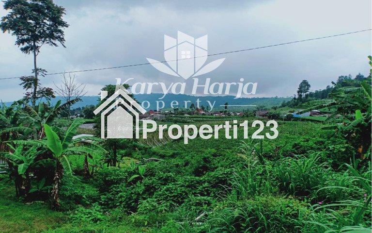 Tanah Istimewa Kemuning Ngargoyoso Kra - 2