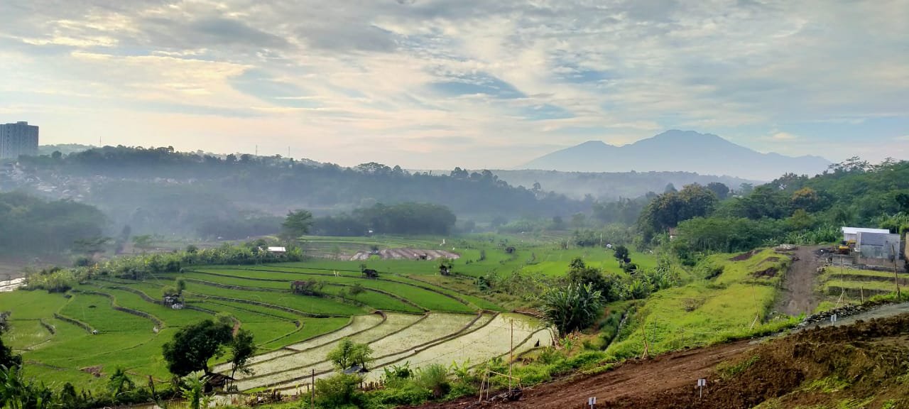 Ruko Strategis Pemandangan Sawah Sky Mansion Horizon Semarang - 6