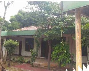 Tanah Dijual Di Tanjung Duren. Jakarta Barat. Rumah Tua Hitung Tanah - 3