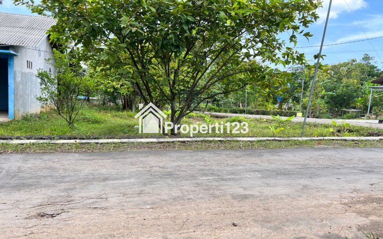 Tanah 80 Juta Bonus Kebun Buah Karanganyar - 2