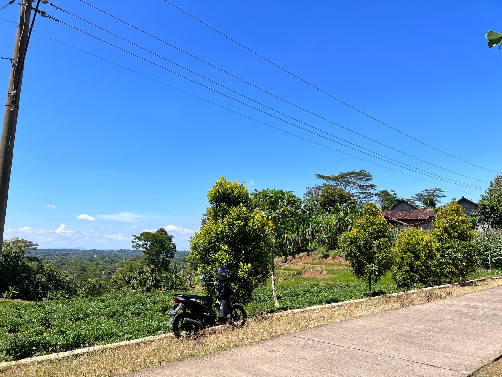 Dijual Kebun Durian Siap Panen Karanganyar - 8