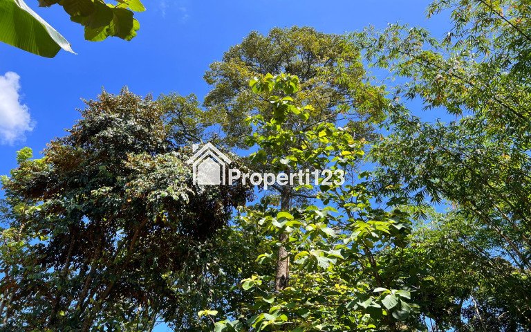 Dijual Tanah Bonus Kebun Durian Mojogedang Karanganyar - 2