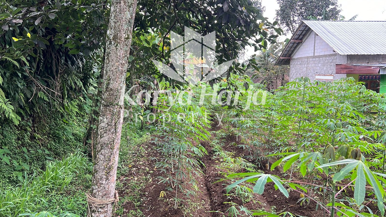 Tanah DATAR 400m² Kemuning Ngargoyoso Karanganyar - 7