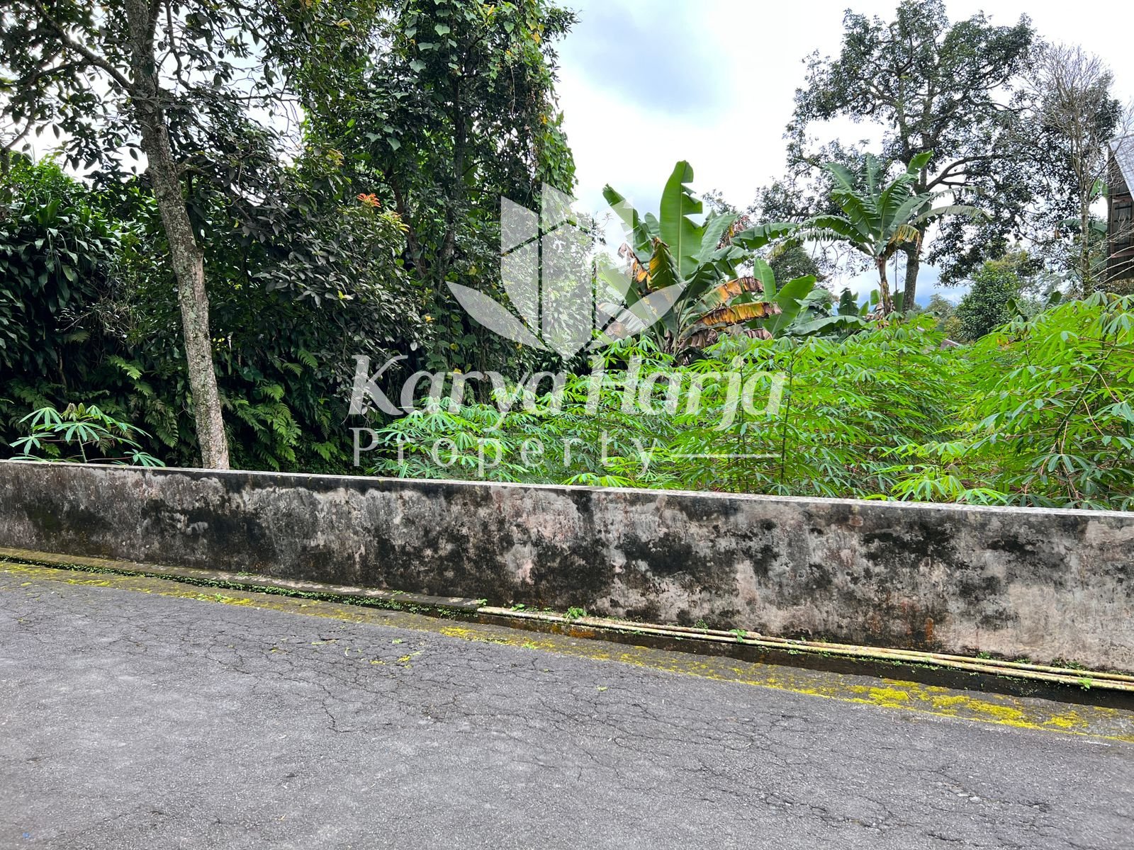 Tanah DATAR 400m² Kemuning Ngargoyoso Karanganyar - 5