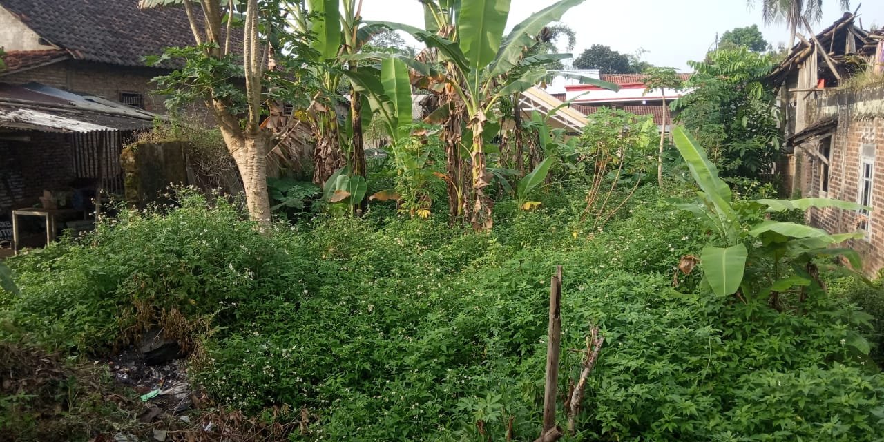 Tanah & Bangunan Lokasi Strategis di Salatiga (SHM, Bisa Nego) - 7