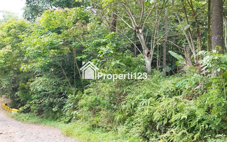Tanah Kebun Didekat Pemukiman Warga - 1