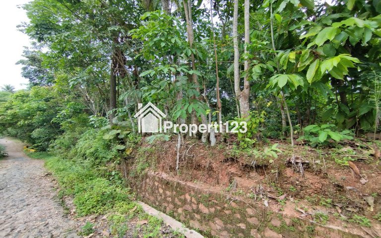 Tanah Kebun Didekat Pemukiman Warga - 7