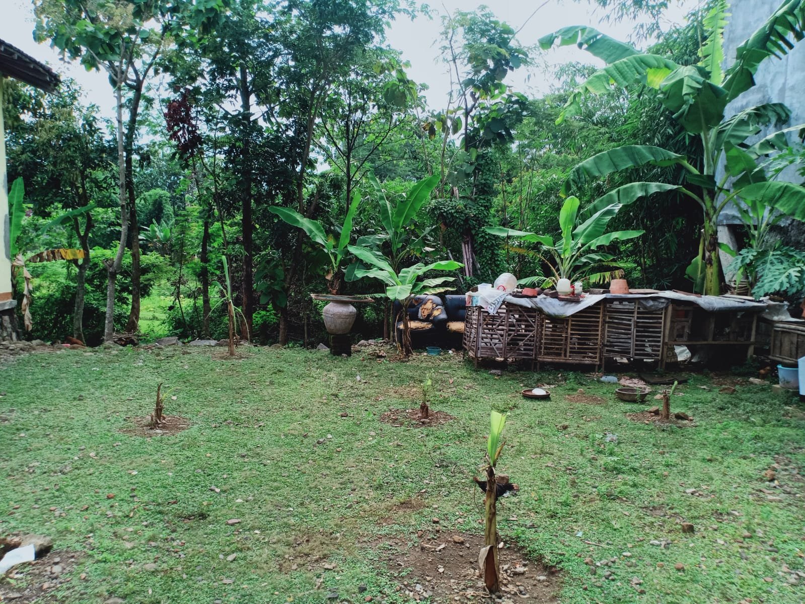 Dijual Tanah Strategis Jl Raya Batujamus-Sragen - 2