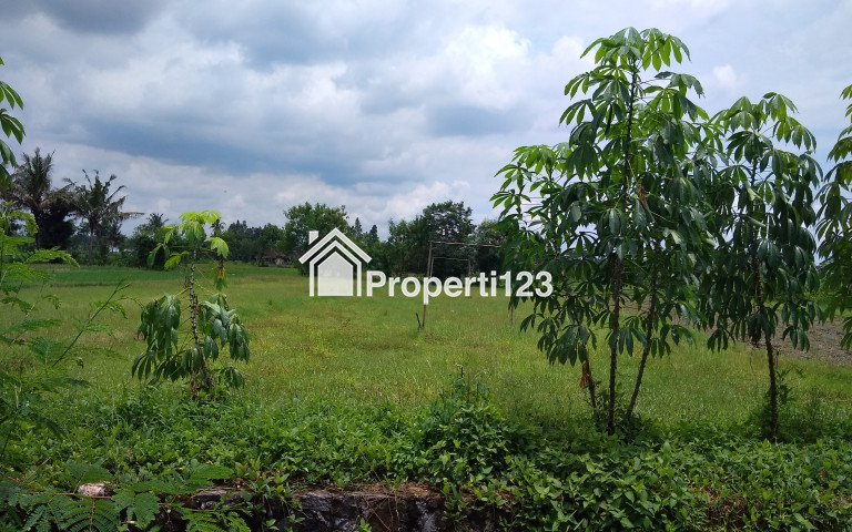 RUMAH ASRI DI SIDOKARTO GODEAN | PINGGIR SAWAH - 6