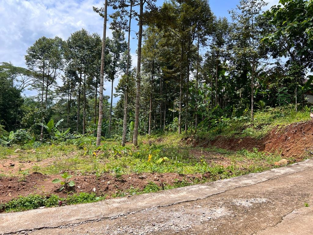 Tanah Kebun Durian & Sumber Mata Air Mojogedang Karanganyar - 8
