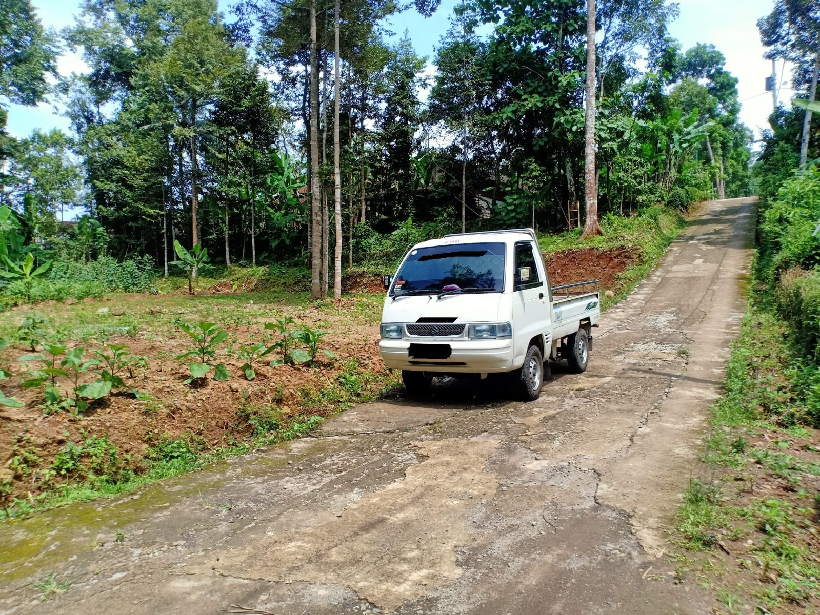 Tanah Kebun Durian & Sumber Mata Air Mojogedang Karanganyar - 12