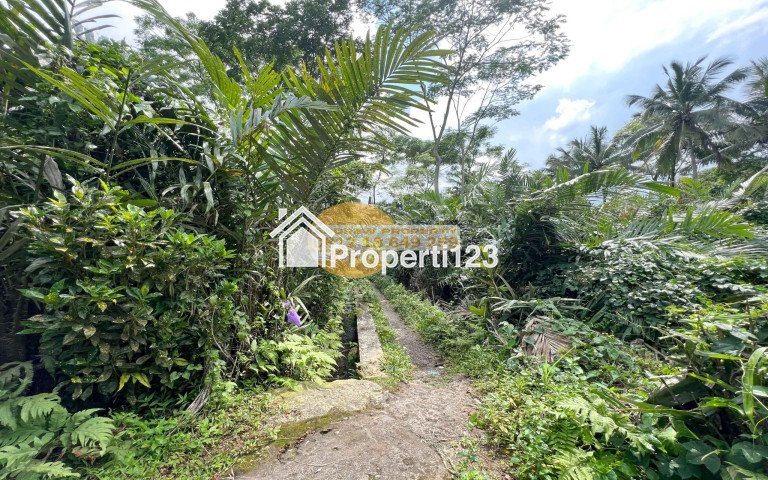 Jual Tanah Sawah Pakem Akses Jalan 2 Mobil Batas Parit - 5