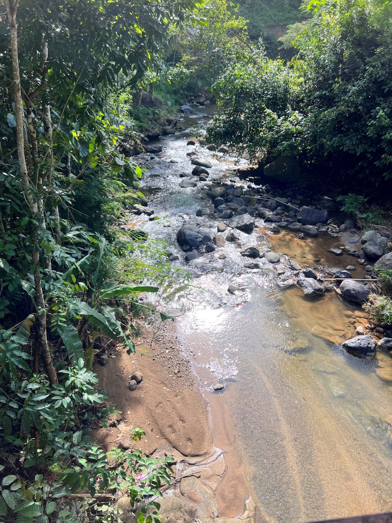 Tanah 2 Hektar Cocok untuk Kebun Buah/Ponpes Karanganyar - 12
